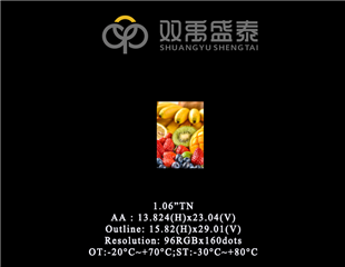 1.06" LCM 16:9(TN)